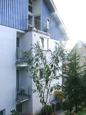 KLICK ZUM GROSSEN BILD