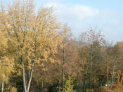 KLICK ZUM GROSSEN BILD