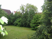 KLICK ZUM GROSSEN BILD