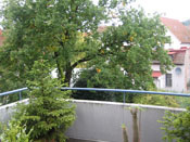 KLICK ZUM GROSSEN BILD