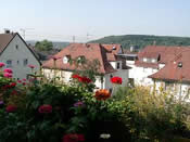 KLICK ZUM GROSSEN BILD