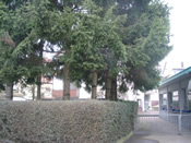 KLICK ZUM GROSSEN BILD