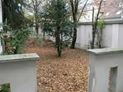 KLICK ZUM GROSSEN BILD