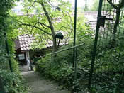 KLICK ZUM GROSSEN BILD