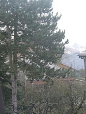 KLICK ZUM GROSSEN BILD