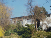 KLICK ZUM GROSSEN BILD