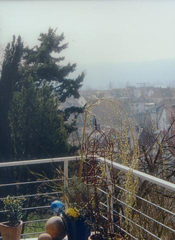 KLICK ZUM GROSSEN BILD
