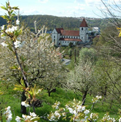 KLICK ZUM GROSSEN BILD