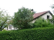 KLICK ZUM GROSSEN BILD