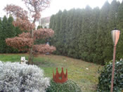 KLICK ZUM GROSSEN BILD