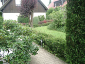 KLICK ZUM GROSSEN BILD