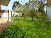 KLICK ZUM GROSSEN BILD