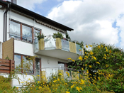 KLICK ZUM GROSSEN BILD