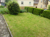 KLICK ZUM GROSSEN BILD