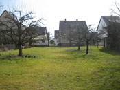 KLICK ZUM GROSSEN BILD