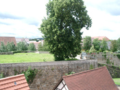 KLICK ZUM GROSSEN BILD