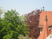 KLICK ZUM GROSSEN BILD
