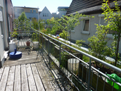 KLICK ZUM GROSSEN BILD